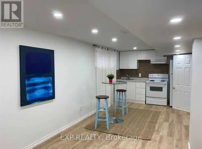 LOWER - 98 AVONDALE AVENUE, Toronto