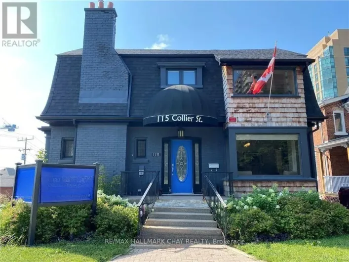 LOWER LEVEL - 115 COLLIER STREET, Barrie