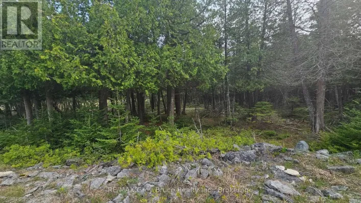LT 254 DORCAS BAY ROAD, Northern Bruce Peninsula