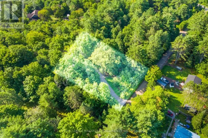LT 33 BENSON BOULEVARD, Kawartha Lakes