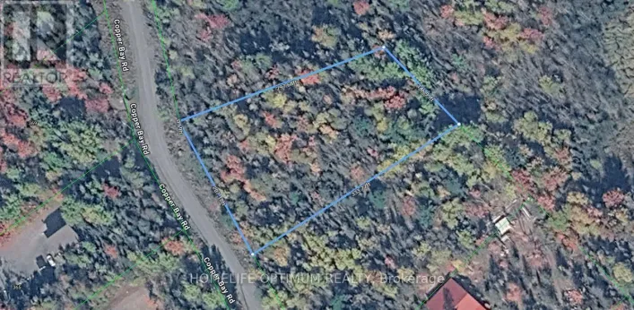 LT 44 PL H542 PLUMMER TOWNSHIP, Plummer Additional