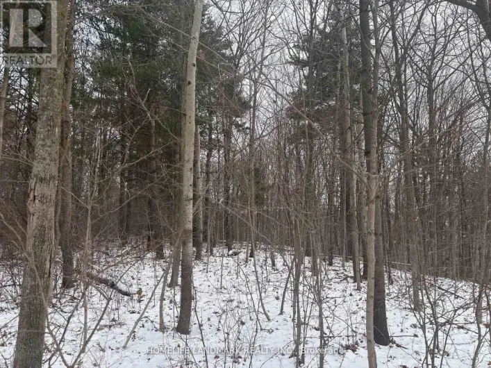 LT 45 CON 7 EBR LINDSAY, Northern Bruce Peninsula
