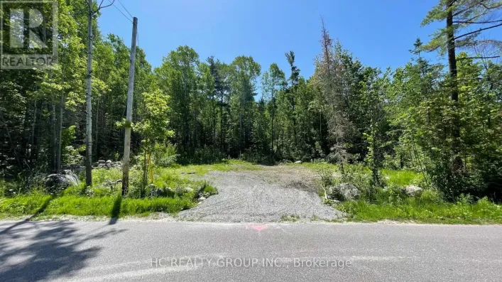 LT101 SILVER BIRCH DRIVE, Tiny