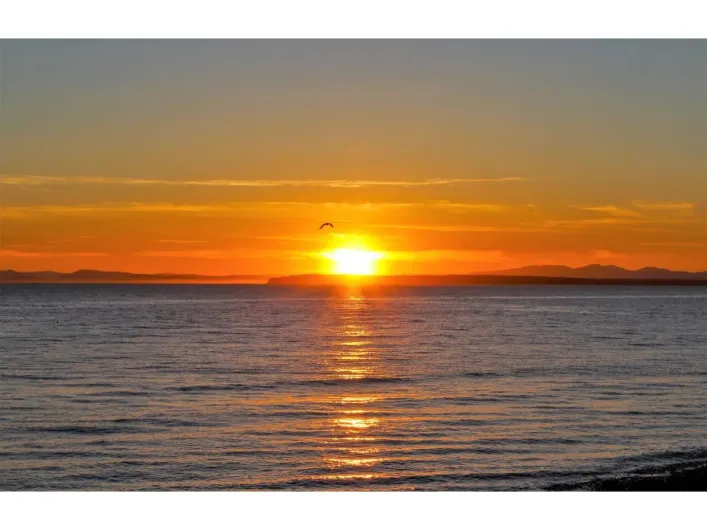 LT.4 12585 15 AVENUE, Surrey