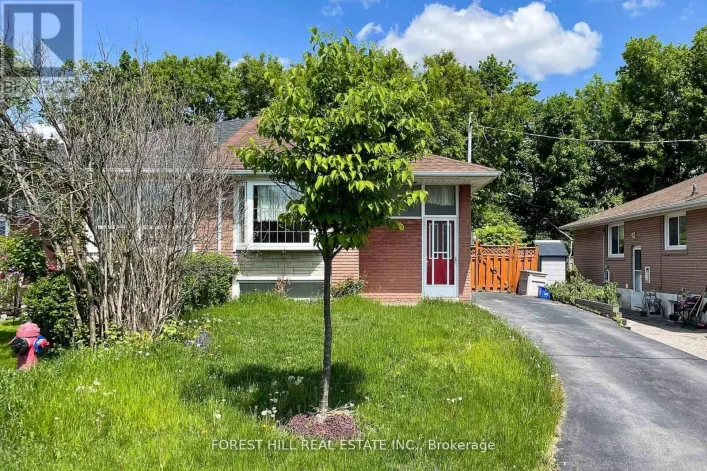 MAIN - 179 SEPTONNE AVENUE, Newmarket