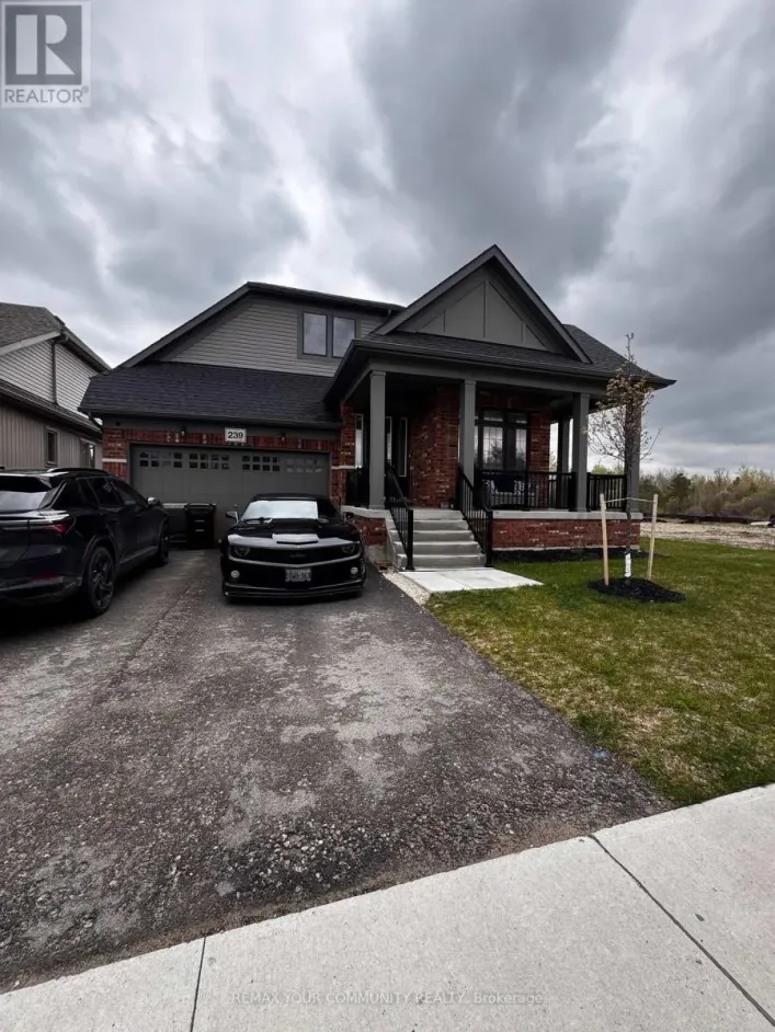 MAIN - 239 DUNCAN STREET, Clearview