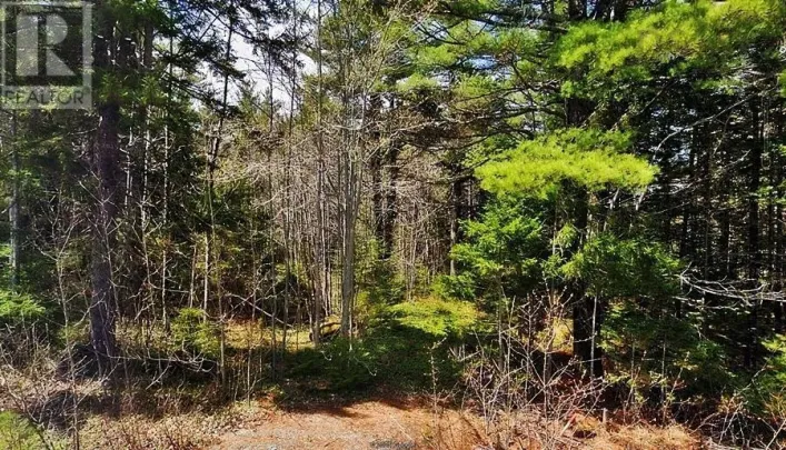 Mount Pleasant Road, West Lahave