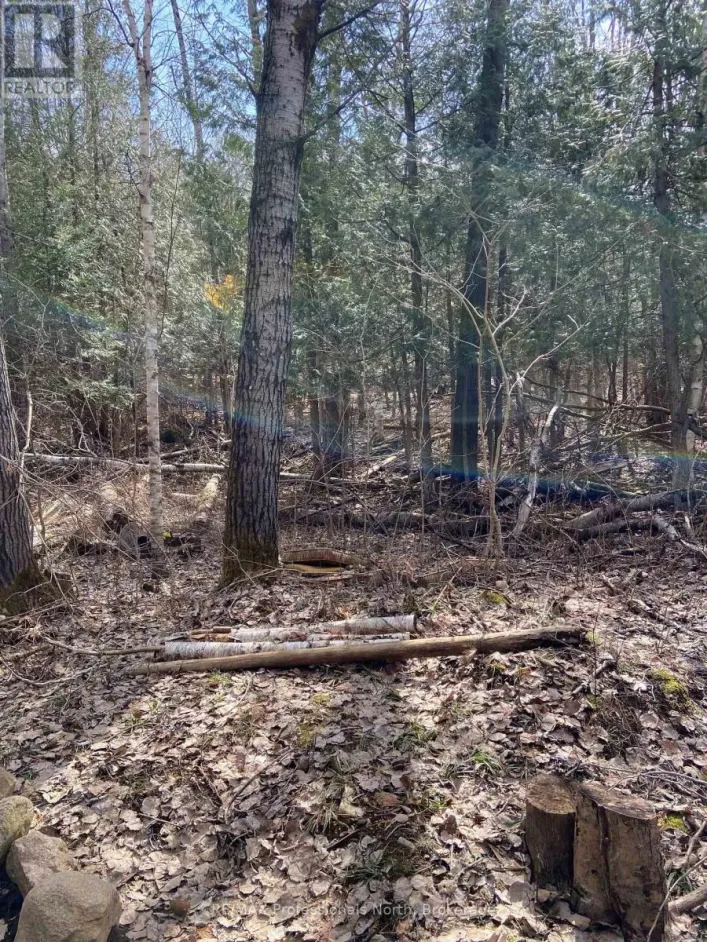 N/A CHELSEA LANE, Algonquin Highlands