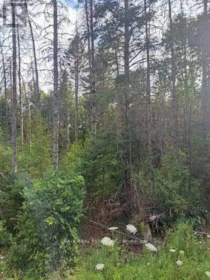 N/A CORDOVA ROAD, Marmora and Lake