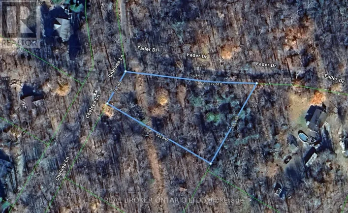 N/A FADER DRIVE, Algonquin Highlands