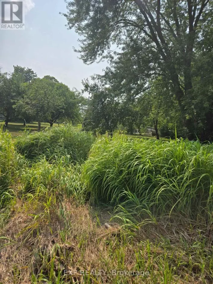 N/A METRO ROAD N, Georgina