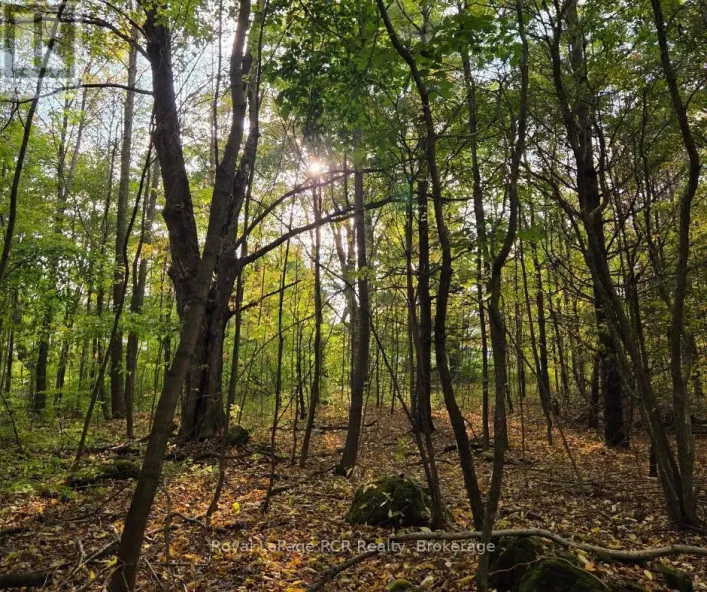 N/A SIMPSON, Grey Highlands