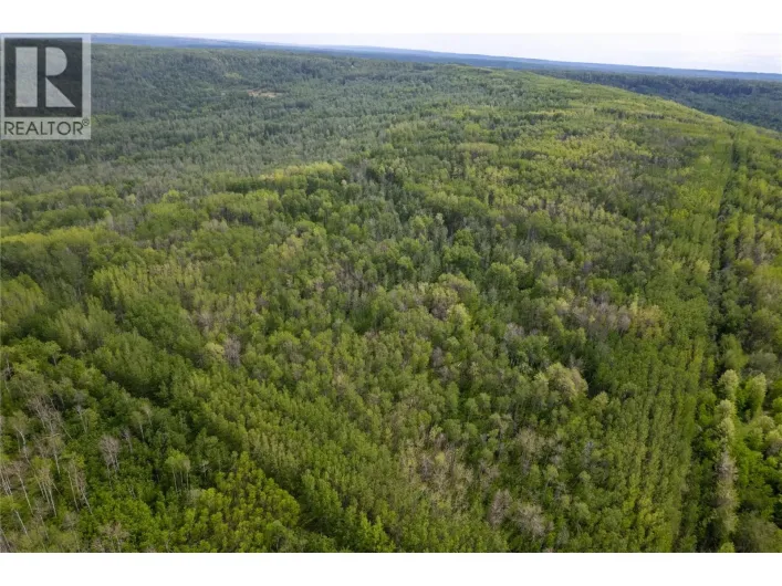 Near 206 Road, Dawson Creek