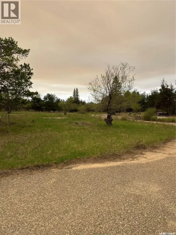 Nisbet Industrial Park, Buckland Rm No. 491