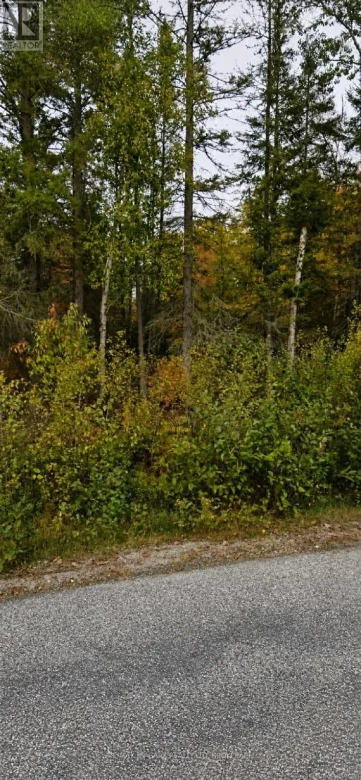 NONE SWEEZEY STREET, Powassan