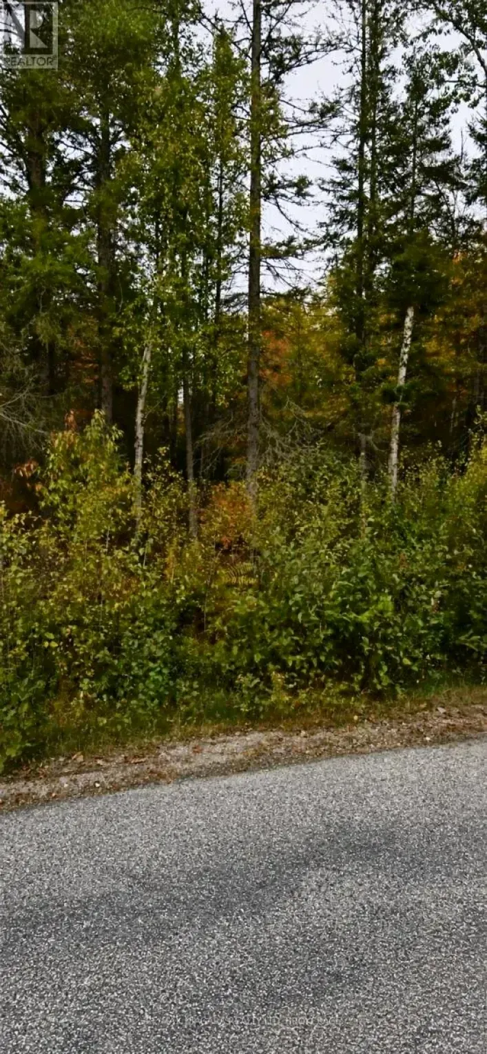 NONE SWEEZEY STREET, Powassan