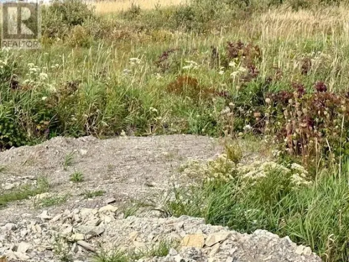 NORTH TRIANGLE - 0 HIGHWAY 11 NORTH HIGHWAY, Englehart