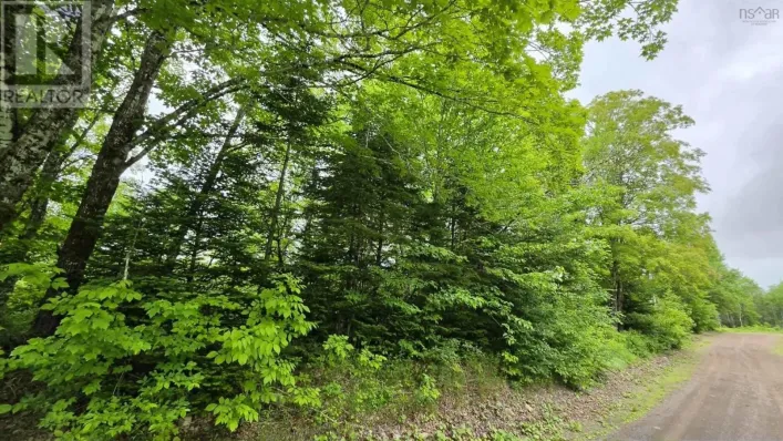 Ohio East Side Road, Antigonish