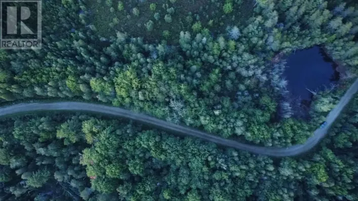 Old Halifax Road, Salt Springs
