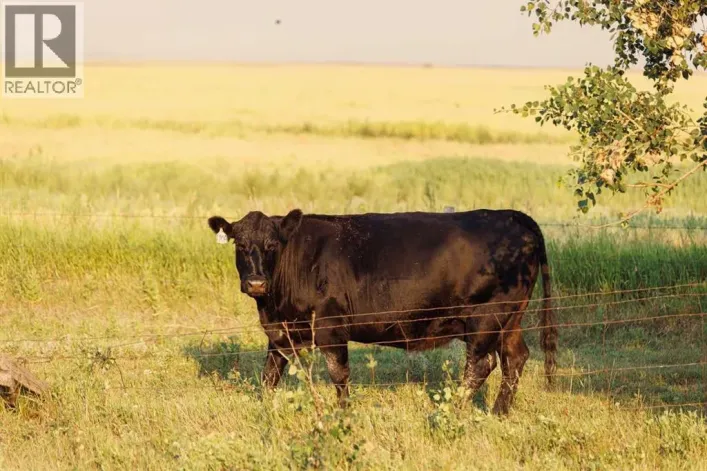 Parcel 7 Range Road 271 just south of Highway 9., Rural Rocky View County