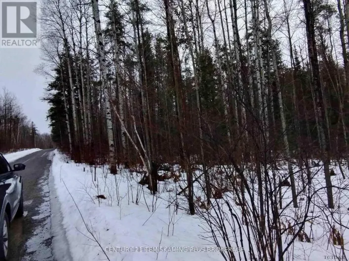 PART 13 GIRL GUIDE ROAD, Cobalt