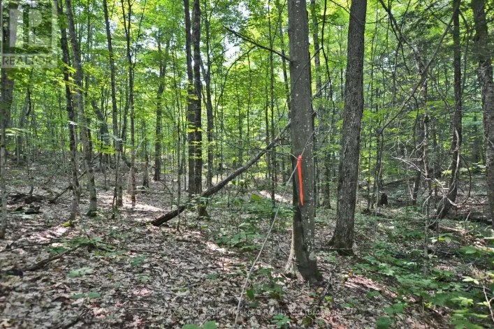 PART 2 - 0 LYNDSEY LANE, McKellar