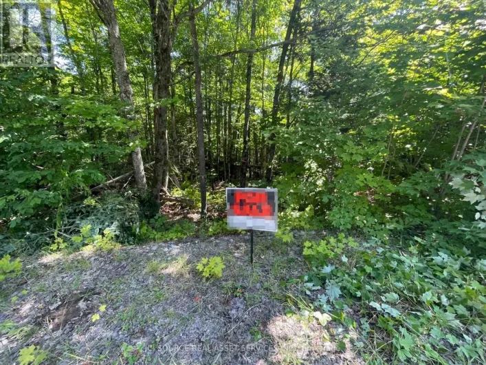 PART 2 - 00 RYE ROAD, South River