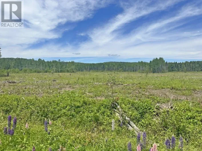 Part 3 Larson Road, Neebing