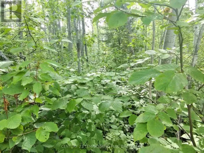 PART 6 GIRL GUIDE ROAD, Timiskaming