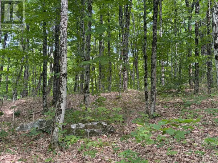 PART LOT 11 & 12 CHIKOPI ROAD, Magnetawan
