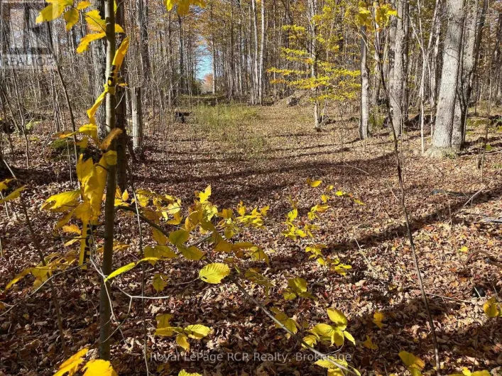 PART LOT 17 GREY ROAD 17 ROAD E, Georgian Bluffs