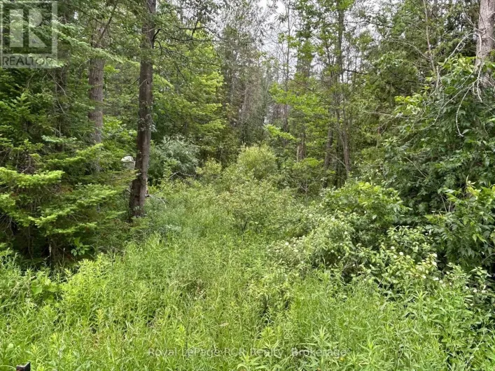PART LOT 2 CONC 17 ROAD, Georgian Bluffs