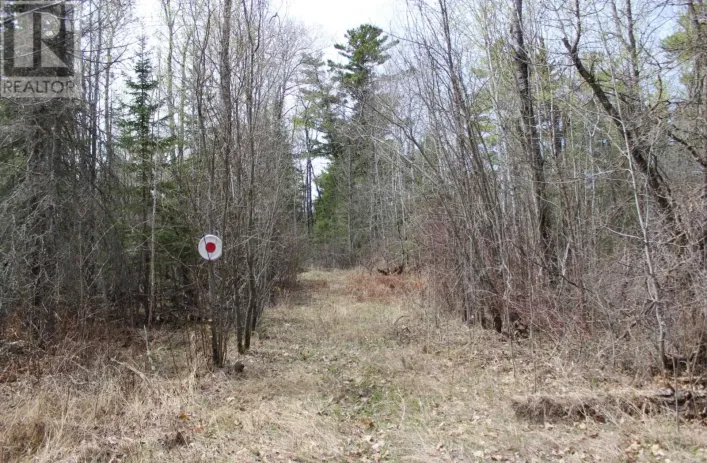 PCL 14221 KREGER RD, RAINY RIVER