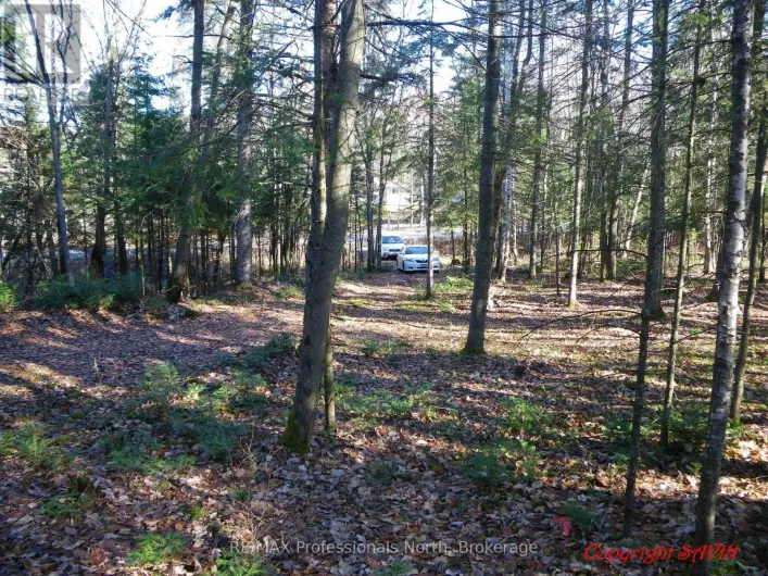 PCL 20438 & 29803 UPPER WALKER LAKE ROAD, Lake of Bays