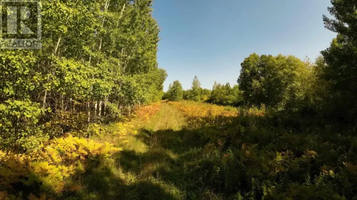 PCL 46-3 GOVERNMENT RD, RAINY RIVER