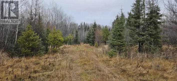 Pin #420950063 HWY 17, Melgund