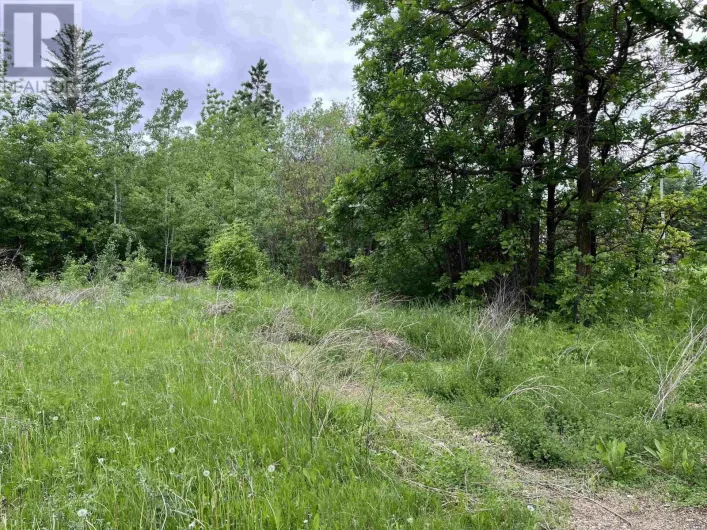PIN 560490007 HWY 11, Dawson