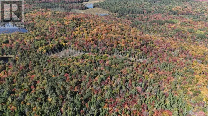 PL20 LANGFORD ROAD, Lake of Bays