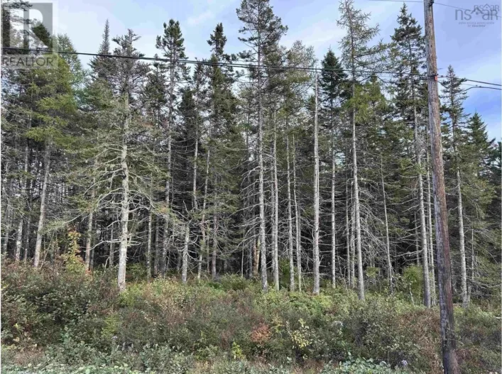 Point View Road, Louisdale