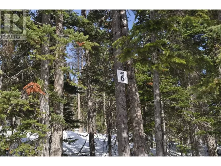 Pr. St Lt 6 ALPINE WAY, Smithers