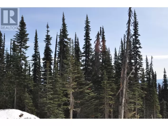 Pr. St Lt 8 ALPINE WAY, Smithers