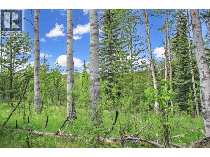 PROP LOT 19 BROWN ROAD, Bridge Lake