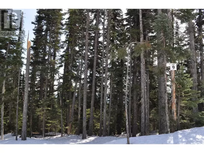 PST LOT-9 ALPINE WAY, Smithers