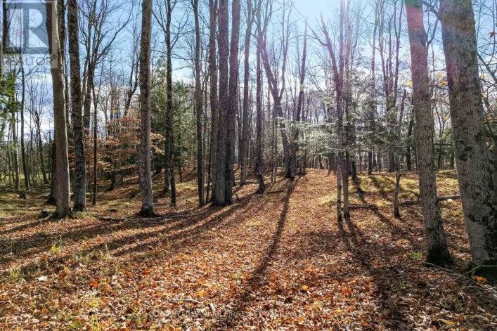 PT 2-00 HERRON MILLS ROAD, Lanark Highlands