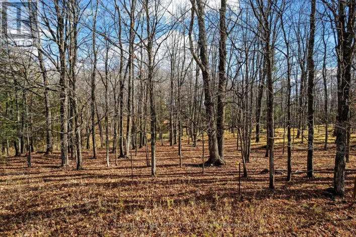 PT 3-00 HERRON MILLS ROAD, Lanark Highlands