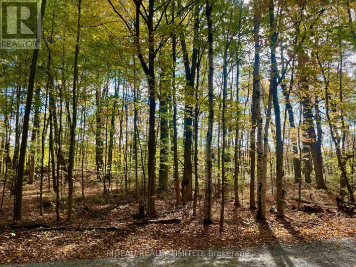 PT 38 CEDAR SANDS ROAD, Rideau Lakes