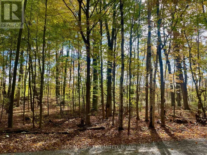 PT 38 CEDAR SANDS ROAD, Rideau Lakes