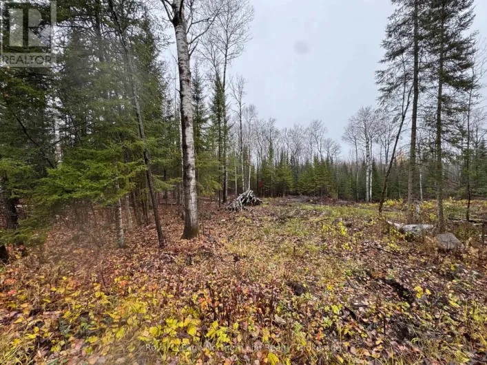 PT E1/2 HILLCREST ROAD, East Ferris