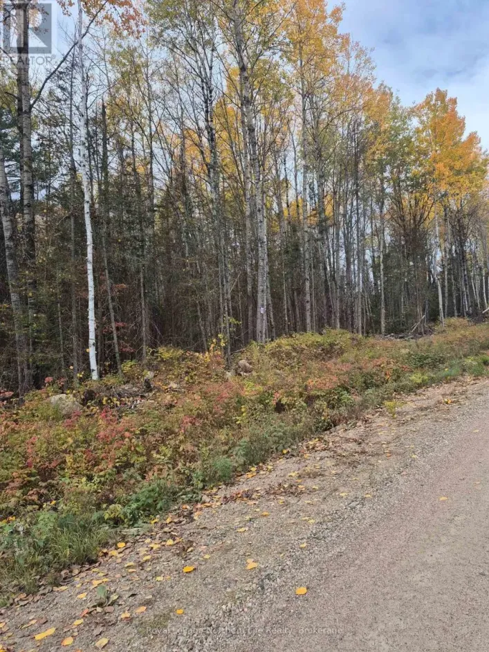 PT LOT 1 CON 9 ARCHAMBEAULT ROAD, Papineau-Cameron