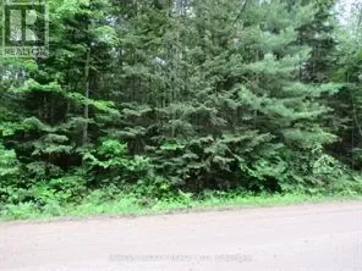 PT LOT 49 OLD MOORE LAKE ROAD, Laurentian Hills